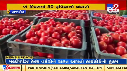 Crop failure responsible for spike in rates of tomato says trader _ Rajkot _ TV9News