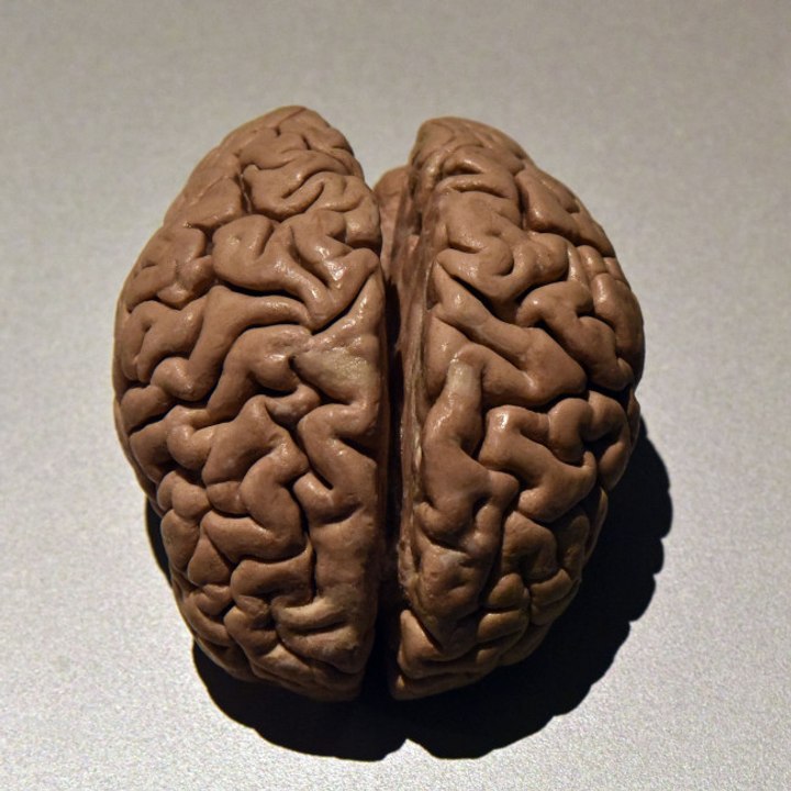 Das Coronavirus kann das Gehirn um 20 Jahre altern lassen