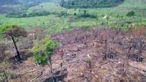 Desmatamento bate recorde em abril na Amazônia