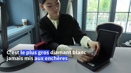 A Genève, le plus gros diamant blanc jamais mis aux enchères