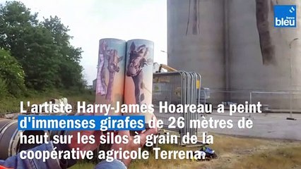 Une fresque géante de 26mètres de haut à Laval