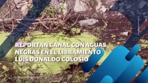 Denuncian ciudadanos canal con aguas negras | CPS Noticias Puerto Vallarta