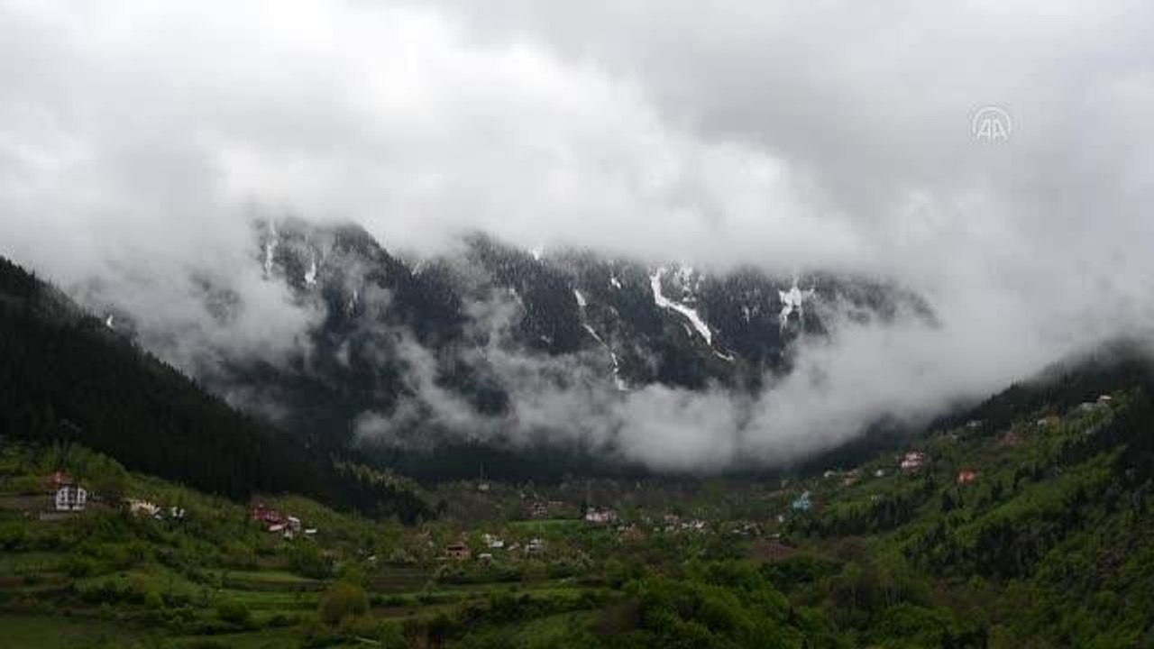 GÜMÜŞHANE - Beyaz örtüyle kaplanan Limni Gölü Tabiat Parkı ziyaretçi akınına uğradı