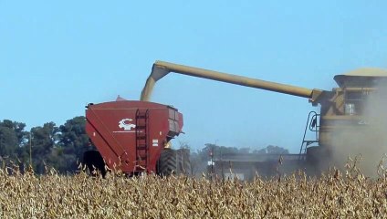 Soja argentina, el oro verde que reluce empujado por la guerra en Ucrania