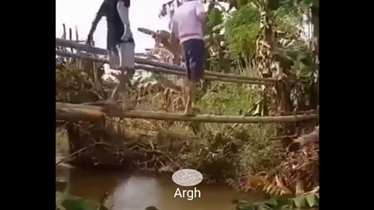 Kompilasi Video Lucu 7 Mei 2022