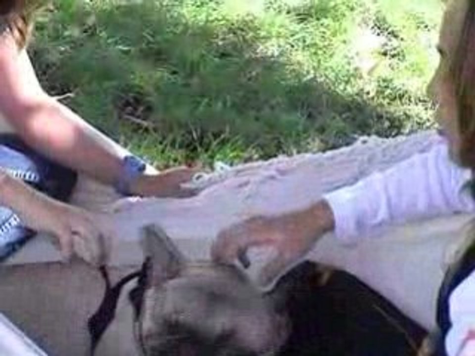 Yuna et les enfants... 2ème partie (hamac)