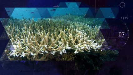 Reporte Climático 40 | Tecnología para el desarrollo sostenible