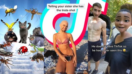 TIK TOKS TOO COOL FOR SUMMER