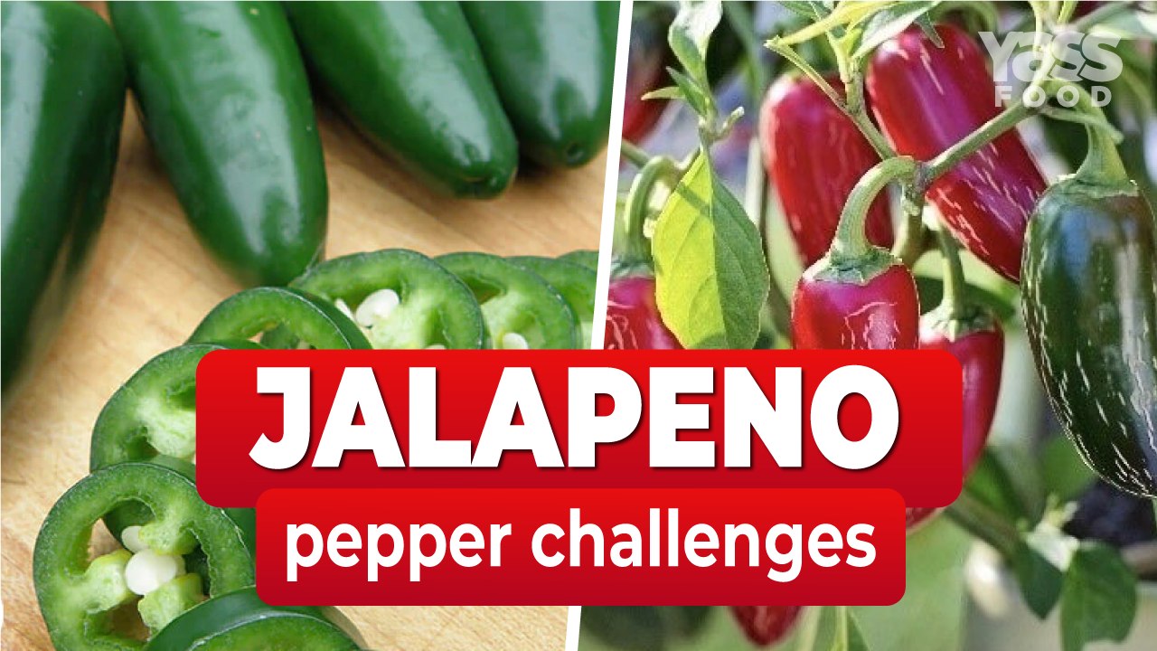 Jalapeno Pepper Challenges