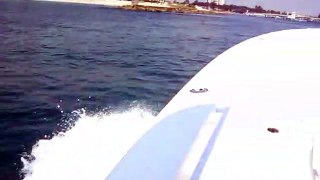 Sea Trial and Cam Bearing Noise in a Yamaha F350 Outboard Engine - Engine Surveyor, Jupiter, Florida