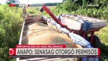 Anapo denuncia la importación de maíz con biotecnología con permiso de Senasag