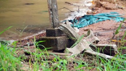 Major parties battle for marginal seat of Leichhardt, Qld