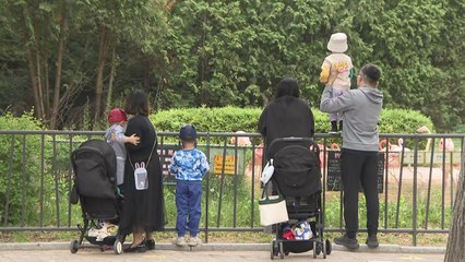 마스크 벗고...흐린 날씨에도 나들이객 표정은 '활짝' / YTN