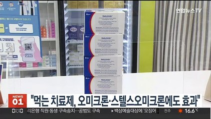 "먹는 치료제, 오미크론·스텔스오미크론에도 효과"