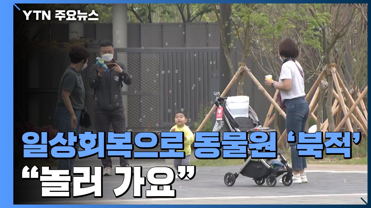 가정의 달·일상회복으로 동물원 '북적'..."놀러 가요" / YTN