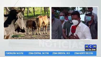 ¡Aún no hay humo blanco! Productores y procesadores de leche no logran llegar a acuerdos