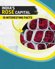 How Bengaluru became India's rose capital | 10 interesting facts