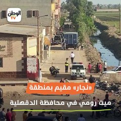 كاميرات مراقبة تكشف لحظة اعتداء وحشي على مسن في الدقهلية «بسبب كنبة»