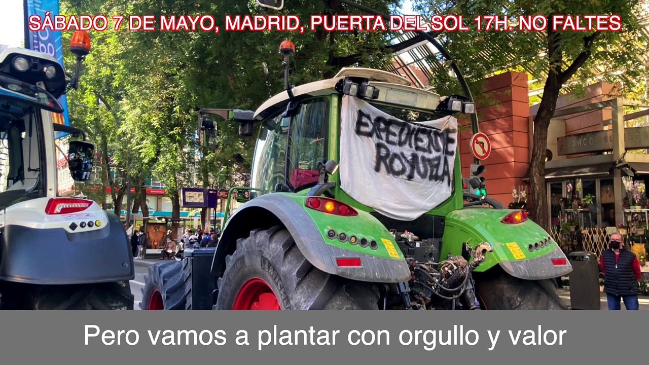 Manifestación Expediente Royuela