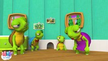 Kaplumbağa Ailesi şarkısı  Kaplumbağalar çizgi filmi  Çoçuk şarkıları