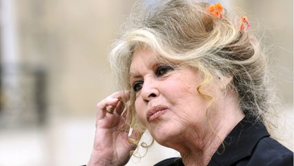 GALA VIDEO - « C’est une arnaque ! " : Brigitte Bardot victime d’usurpation d’identité, elle alerte ses fans