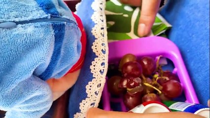 Baby monkey Bon Bon and puppy go to a picnic to eat lunch