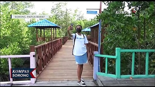 Wisata Taman Mangrove Sorong Jadi Pilihan Habiskan Waktu Libur