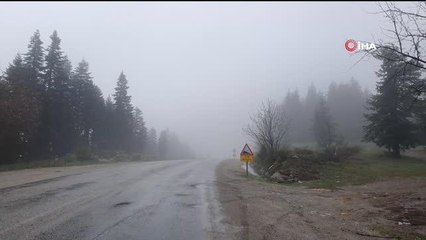 Kastamonu'da sis ve yağmur etkili oluyor