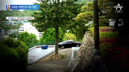 김어준-탁현민의 나무 ‘미련’