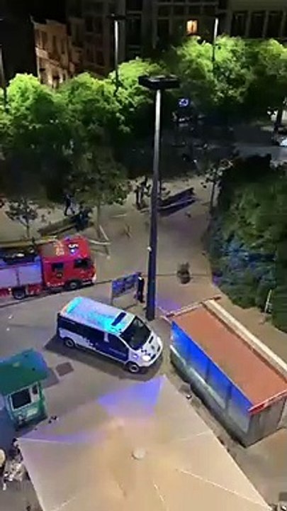 Un gran pino cae sobre la plaza del Ayuntamiento de L'Hospitalet