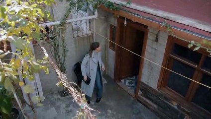 Fuego Fuego (Alev Alev) - Capitulo 17