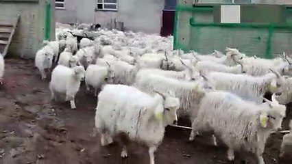 Bakan müjdeyi verdi: Destekler yüzde 100 arttı