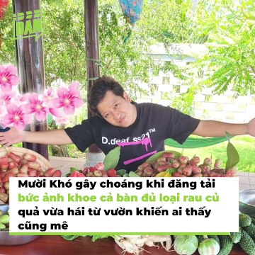 Loạt sao Việt sở hữu biệt thự triệu đô, miệt vườn cò bay mỏi cánh | Điện Ảnh Net