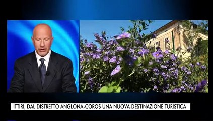 TG 07.05.2022 EDIZIONE GIORNO