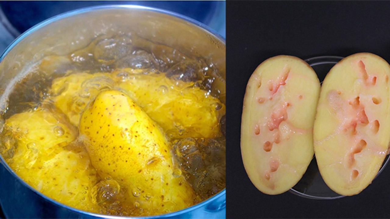 उबले हुए आलू कितने दिन में खराब होते है | Ubale Hue Aalu Kitne Din Me Kharab Hote Hai | Boldsky