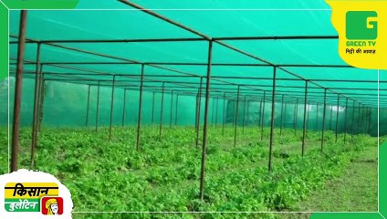 Kisan Bulletin - बागवानी पर जोर दे रही बिहार सरकार, पॉली हाउस लगाने पर दे रही 75% सब्सिडी | Green TV