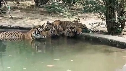 आमली देह में ईको ट्यूरिज्म की अपार संभावनाएं