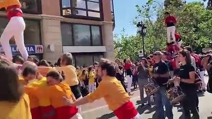 La Conlloga Muixeranga de Castelló toca el cel per la Diada del 25 d'Abril