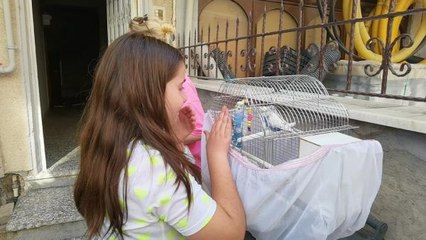 YANGINDA MAHSUR KALAN MUHABBET KUŞLARI VE KEDİYİ İTFAİYE KURTARDI