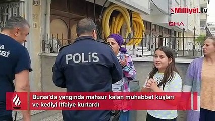 Yangında mahsur kalan muhabbet kuşları ve kediyi itfaiye kurtardı