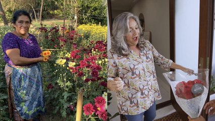 Del campo a las manos de una madre en Miami, el increíble viaje de las rosas guatemaltecas