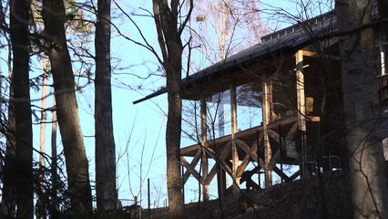 الدول الاسكندنافية تلجأ إلى المباني الخشبية كخطوة صديقة للبيئة