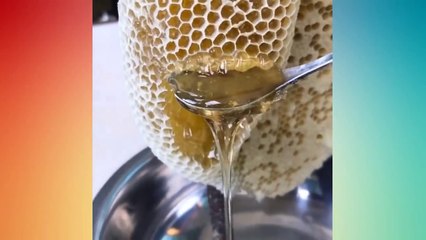Oddly Satisfying Video Newest Compilation Amazing Things You Have Never Seen