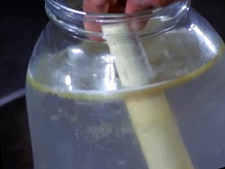 Mission: Impossible S04 E20