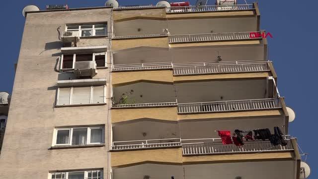 Son dakika haberleri | 12'NCİ KATTAN 11'İNCİ KATA DÜŞEN KEDİ 'MİÇO' İTFAİYE TARAFINDAN KURTARILDI