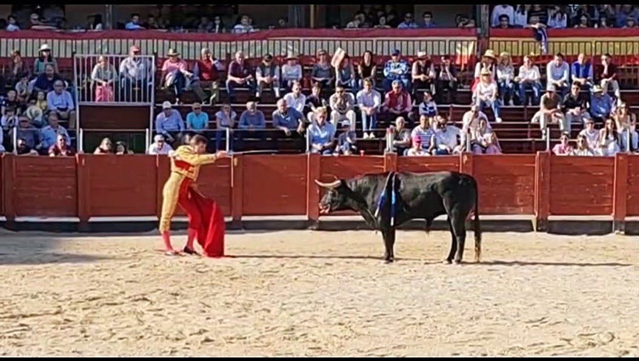 Colmenar de Oreja 7-5-2022 Resumen