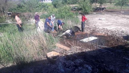 Son dakika: Balçığa saplanan ineği itfaiye kurtardı