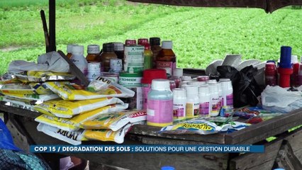 Dégradation des sols : la COP 15, solution pour une gestion durable (Vies d’Ici)