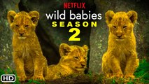 Wild Babies Season 2 Trailer (2022) Netflix, Release Date, Episodes, Ending Explained, Review,Plot