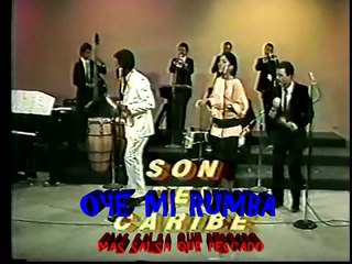 SALSA GORDA TELEVISION